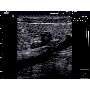 SonoVet R3 hordozható állatorvosi ultrahang kép